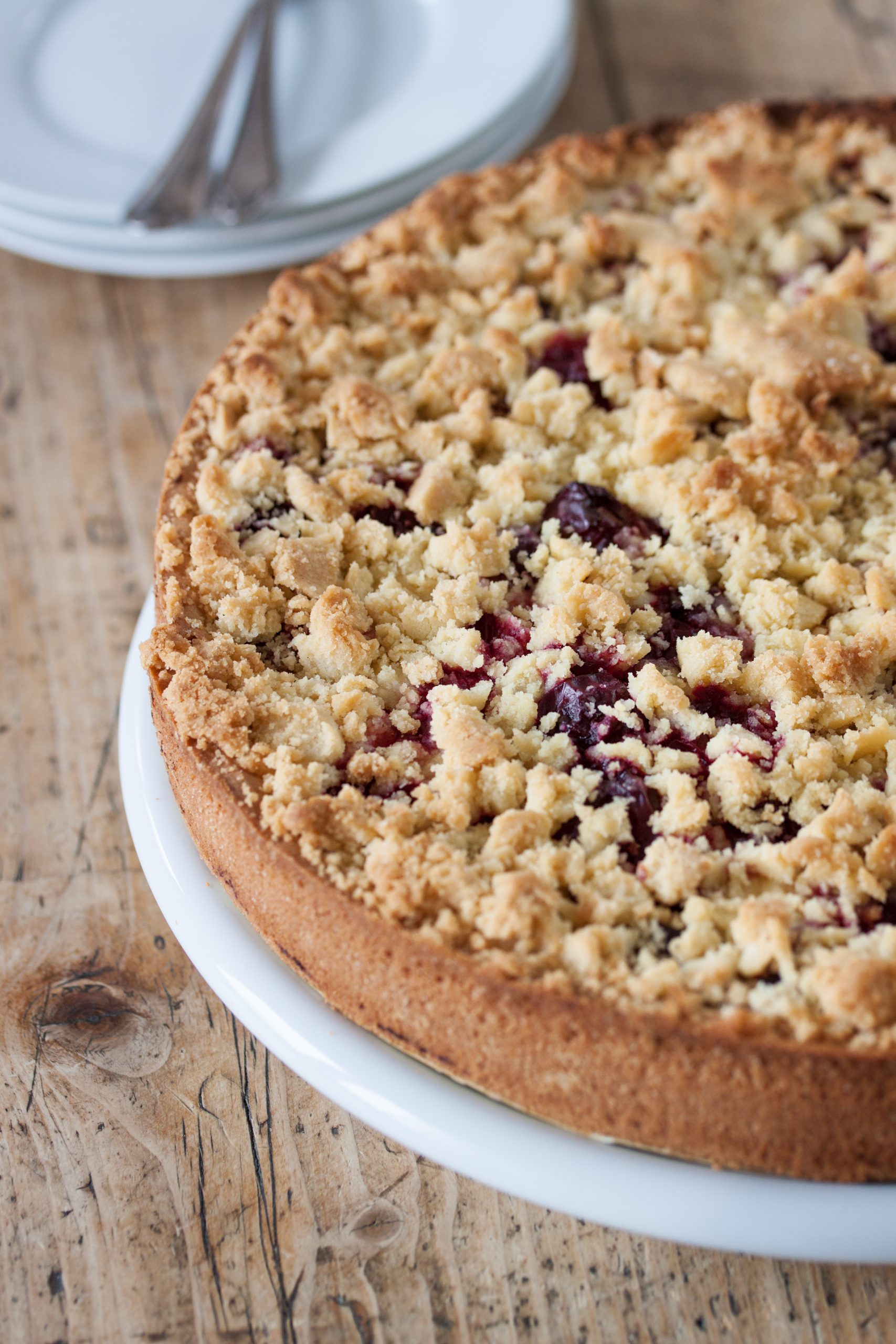 biscuit-cake-with-cherries